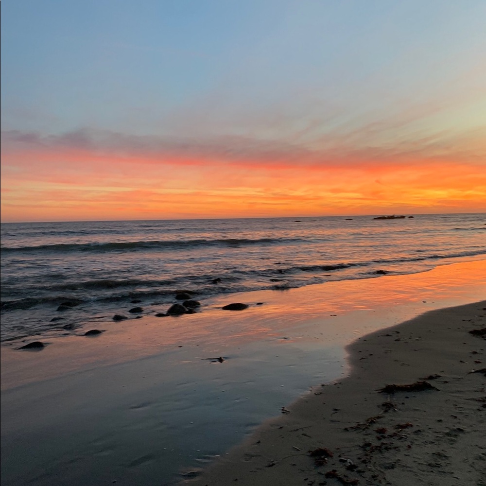 Meet your Posher, Mia